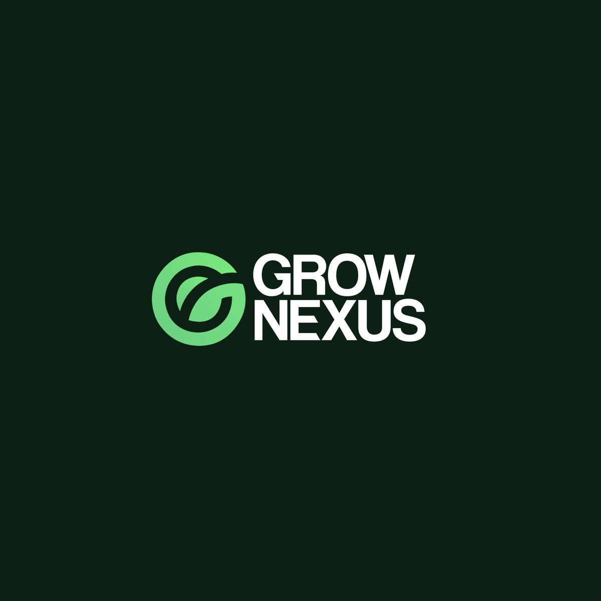 devvlooper's tweet photo. Logo https://t.co/RtQ2Es7fw5