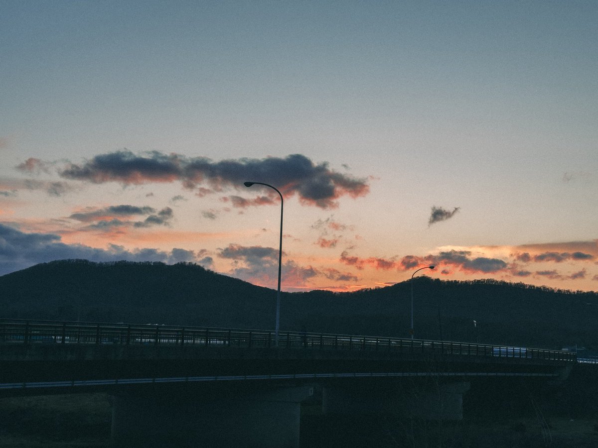 Komako415's tweet photo. 最近散歩が気持ちいい https://t.co/s8qRMhnFdr