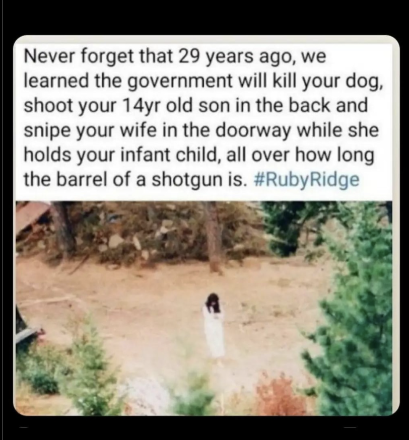 Mericamemed's tweet image. Ruby Ridge proved that the system fears freedom more than crime.