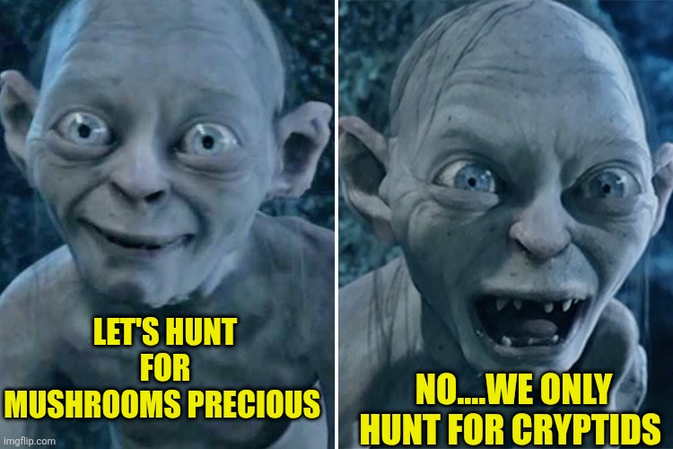 Cryptids And The Unknown (@andcryptids) on Twitter photo 