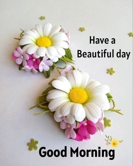 Good morning x family 😊❤️
