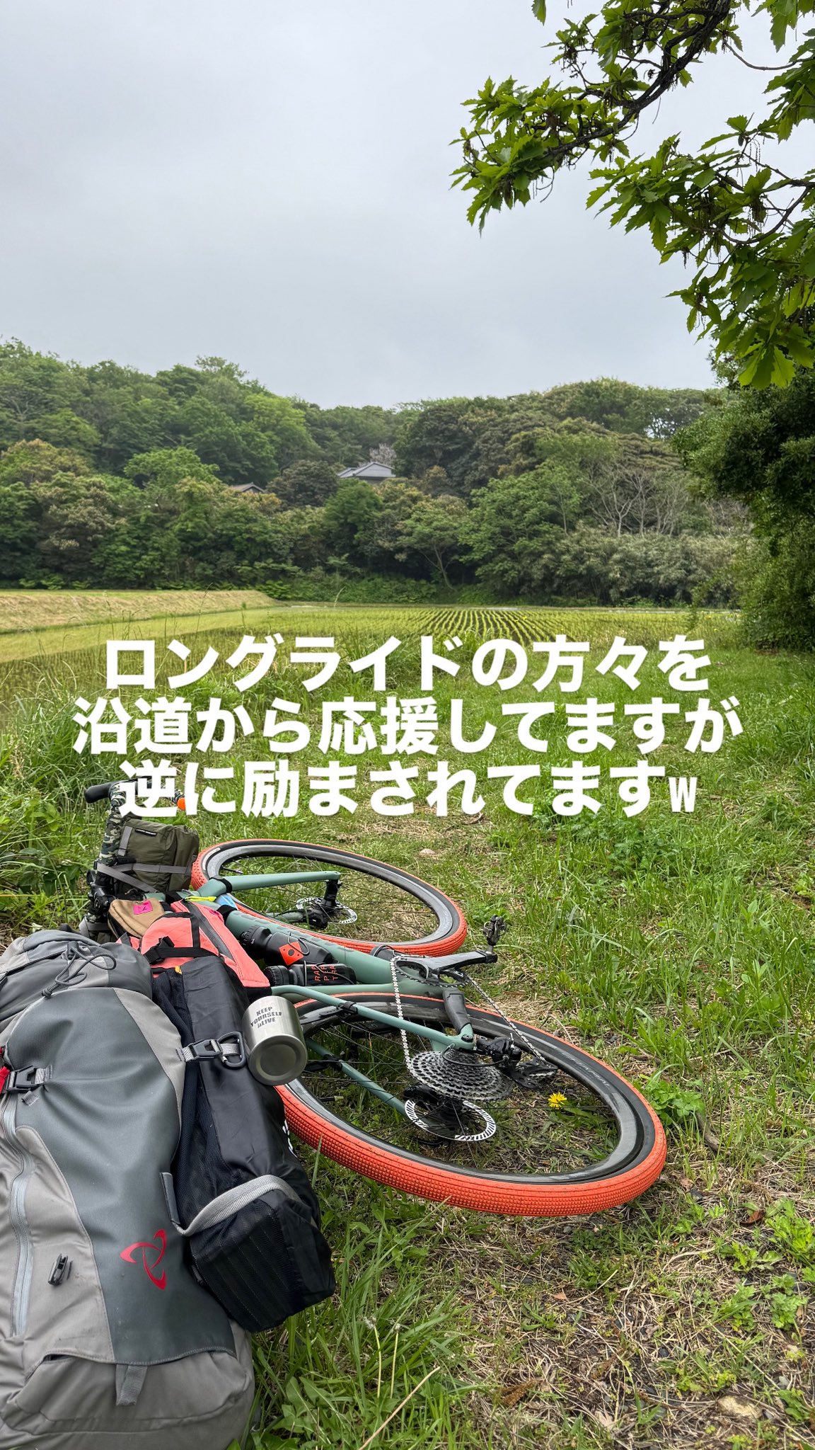 楽天市場】ネコポス発送 TAJIMA SF-LHLD 左用セフコンベ後付