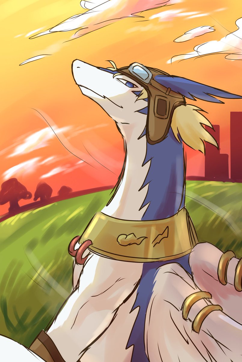 おさかな。🦈🎀 tweet media