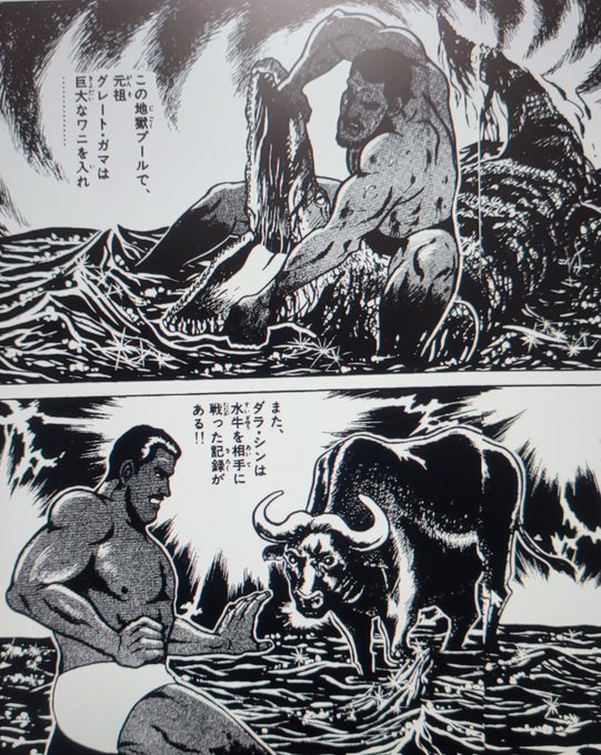 子供心にイヤイヤイヤと思ったタイガージェットシン一族の練習。
けれどここまで虚構を貫いた漫画は他にない。 