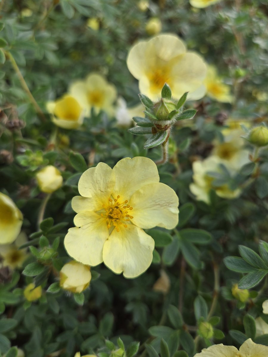 R0sear1n's tweet image. Good days start with good vibes — hello weekend!
#GoodVibesOnly #HelloWeekend
#ChasingJoy #PositiveEnergy