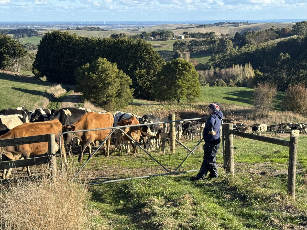 Milking time <a href="/KaseyShields18/">Kasey Shields</a> <a href="/kingsveldt/">Patrick Anderson</a> new share farm in Gippsland