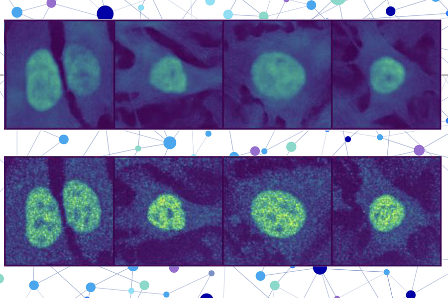 PlusPointIndia's tweet photo. 🧬 MIT researchers develop AI model that predicts the location of virtually any protein inside human cells — even for proteins and cell types never seen before. This breakthrough could speed up disease diagnosis and drug development.
#AI #Proteomics #MITResearch #Biotech https://t.co/ptKYXGbocT