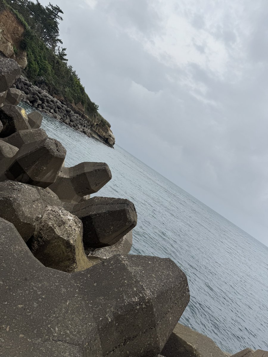 加賀市のテトラ帯でデイシーバス👍
14:30  60cm

ロッド:コルトスナイパーS900M
リール:ストラディックSW5000XG
ルアー: Surface Wing 95F