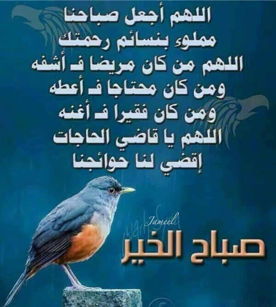 محمد منصور (@mmansourf16) on Twitter photo 