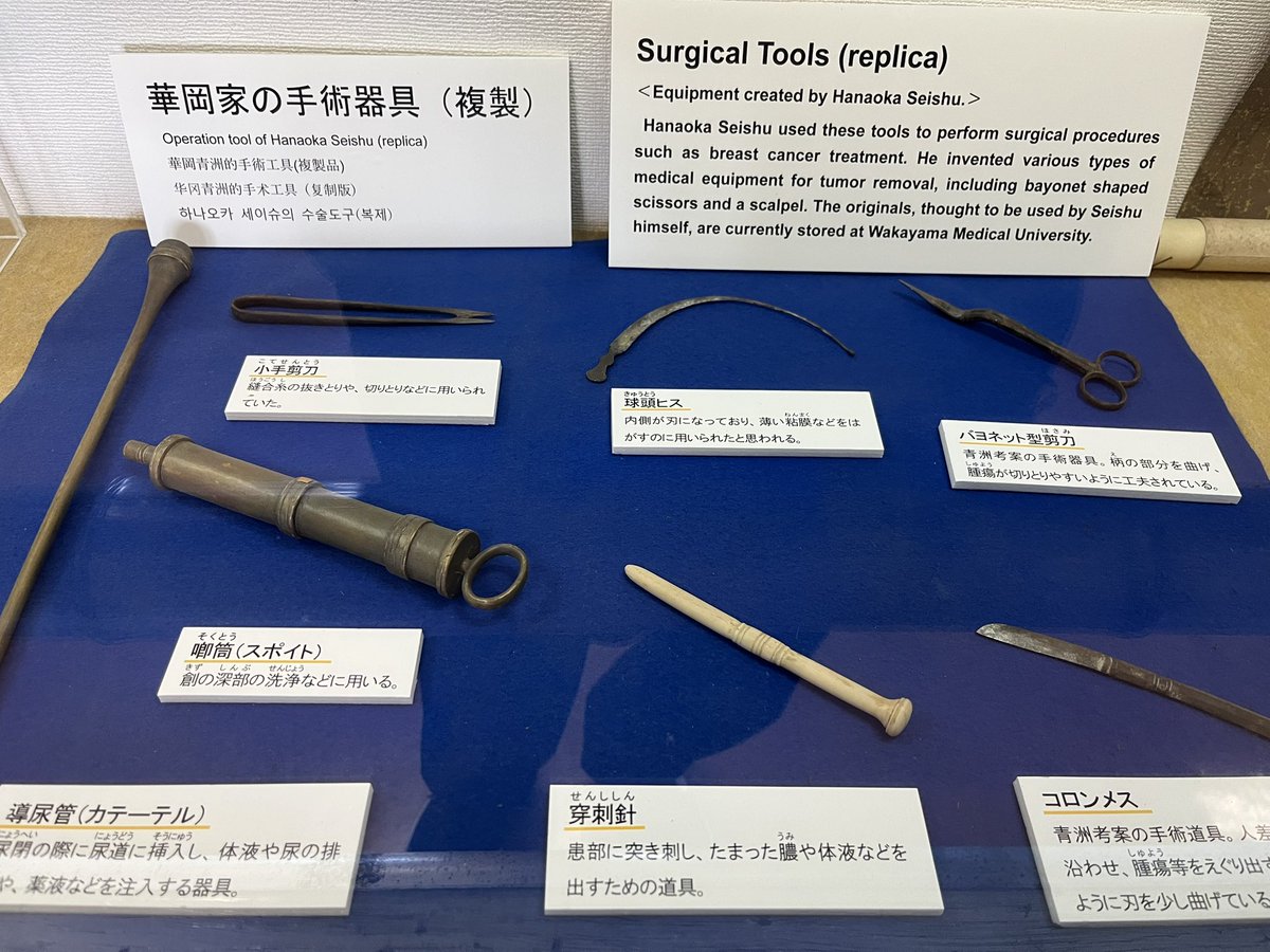 CancerCareJASCC's tweet photo. #JASCC25 ちょっとそこまで
和歌山城には武具や具足の展示に加え
地元のゆかりのある方々の展示もなされています
華岡青洲翁と世界で初めての全身麻酔による乳がん手術にまつわる器具や生薬 文献が展示してあります
汗ばむ陽気になってきましたがぜひどうぞ
#JASCC25 https://t.co/5Vc76zG2aW