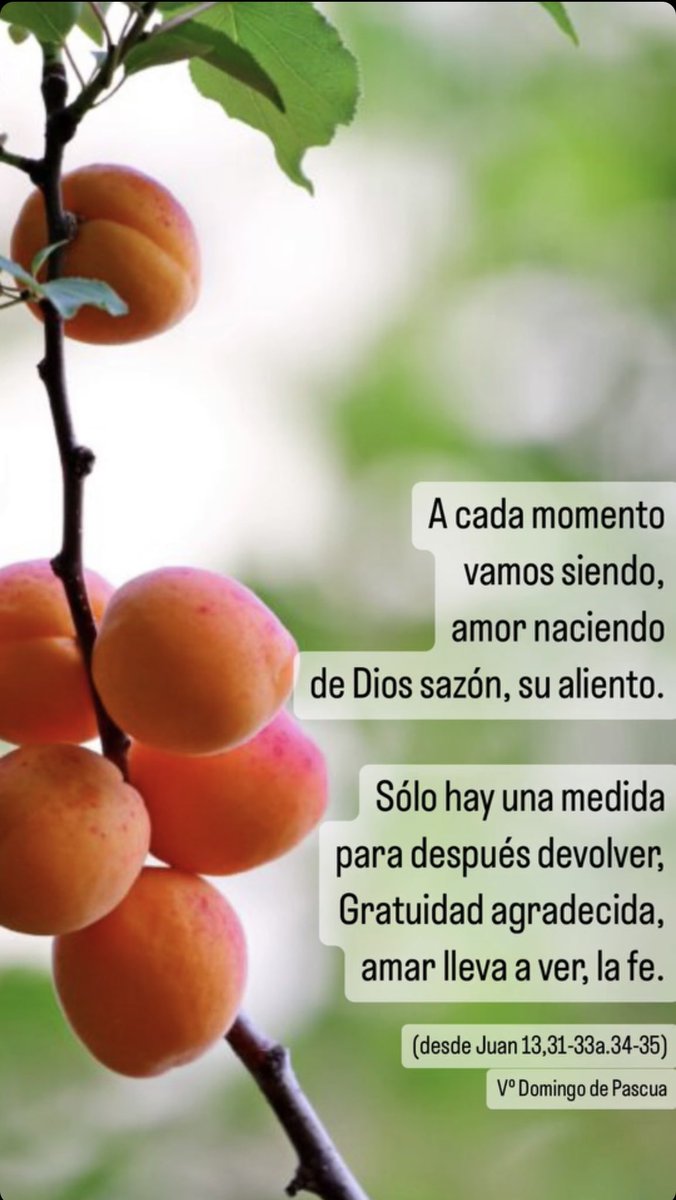 Jose Chamorro (@josechamorrog) on Twitter photo #EvangeliodelDia Comparto 🙏🏼 <a href="/FernandoCorder7/">Fernando Cordero Morales ss.cc.</a> <a href="/Crisinogessanz/">Cristina Inogés Sanz</a> <a href="/Aspirar_al_uno/">Carlos Javier González Serrano</a> <a href="/1osCristianos/">Primeros Cristianos</a> <a href="/catcristiana/">CatalunyaCristiana ﻥ</a> <a href="/scarRomano/">Óscar Romano</a> <a href="/josefer_juan/">josefer</a> <a href="/JoseManuelcmf/">José Manuel Marín Mena, CMF</a> <a href="/tomasjmm/">Tomás J. Marín Mena</a> <a href="/teologiadapc/">Teología de andar por casa</a> <a href="/FTeoVal/">Teología Valencia</a> <a href="/TeoComillas/">Teología U. Pontificia Comillas</a> @<a href="/Revista_VN/">Revista Vida Nueva</a> <a href="/ReligionDigit/">Religión Digital</a> <a href="/Pontifex_es/">Papa León XIV</a> <a href="/diocesisdejaen/">Diócesis de Jaén</a> <a href="/fraoctavi/">fra Octavi Vilà</a> #EvangeliodelDia Comparto 🙏🏼 <a href="/FernandoCorder7/">Fernando Cordero Morales ss.cc.</a> <a href="/Crisinogessanz/">Cristina Inogés Sanz</a> <a href="/Aspirar_al_uno/">Carlos Javier González Serrano</a> <a href="/1osCristianos/">Primeros Cristianos</a> <a href="/catcristiana/">CatalunyaCristiana ﻥ</a> <a href="/scarRomano/">Óscar Romano</a> <a href="/josefer_juan/">josefer</a> <a href="/JoseManuelcmf/">José Manuel Marín Mena, CMF</a> <a href="/tomasjmm/">Tomás J. Marín Mena</a> <a href="/teologiadapc/">Teología de andar por casa</a> <a href="/FTeoVal/">Teología Valencia</a> <a href="/TeoComillas/">Teología U. Pontificia Comillas</a> @<a href="/Revista_VN/">Revista Vida Nueva</a> <a href="/ReligionDigit/">Religión Digital</a> <a href="/Pontifex_es/">Papa León XIV</a> <a href="/diocesisdejaen/">Diócesis de Jaén</a> <a href="/fraoctavi/">fra Octavi Vilà</a>