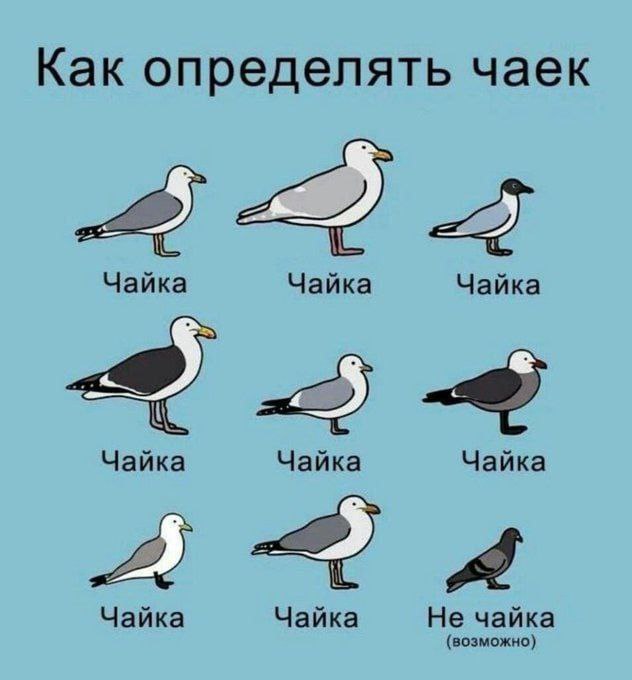 Ознакомил котов под роспись