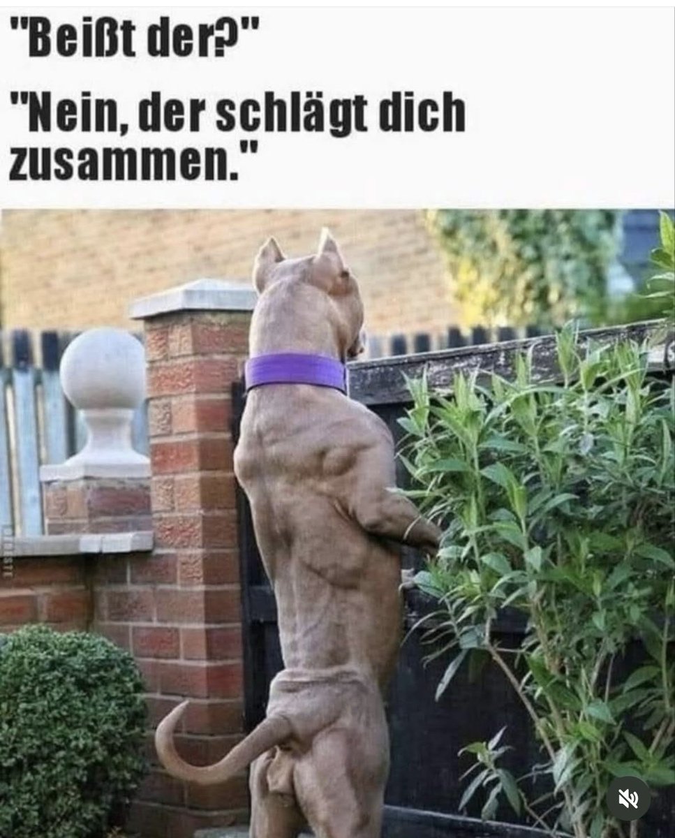 keineAhnungwiederTrainerheißt tweet media