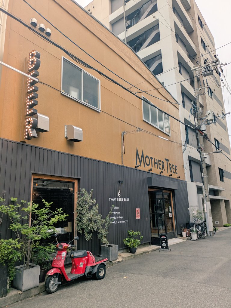sio_koji_sugee's tweet photo. さんざん歩いて最後は聖地に。
さ、のもか〜☺️
#マザーツリー
#MotherTree
#クラフトビアベース https://t.co/RkxUySbAU5
