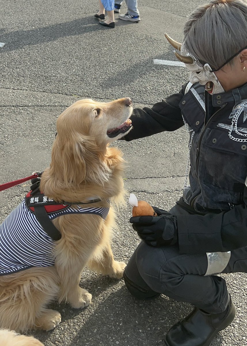 束の間の休憩。 癒し写真をどうぞ🦮 #その言葉通りオールイン #共犯者