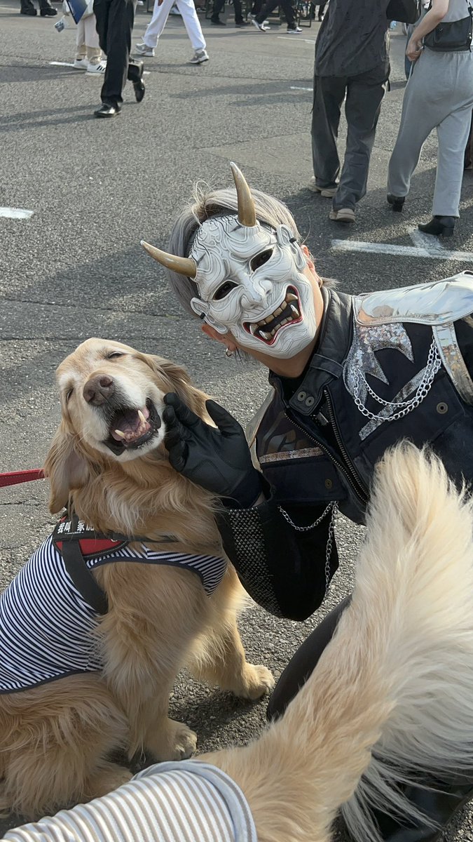 束の間の休憩。 癒し写真をどうぞ🦮 #その言葉通りオールイン #共犯者