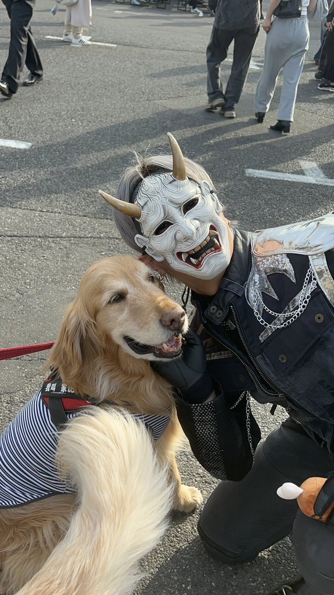 束の間の休憩。 癒し写真をどうぞ🦮 #その言葉通りオールイン #共犯者