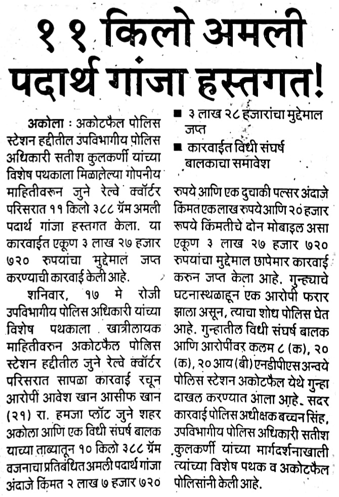 sdpoakola's tweet photo. #NDPS_Act | उपविभागीय पोलीस अधिकारी शहर उपविभाग यांच्या पथकाकडून रेल्वे कॉटर परिसरात धाड! ११ किलो गांजा जप्त! 

@IPS_Bachchan 
@DGPMaharashtra 
@IGP_AmtRange 
@InfoAkola 
#AkolaPolice https://t.co/sFSUMetxVa