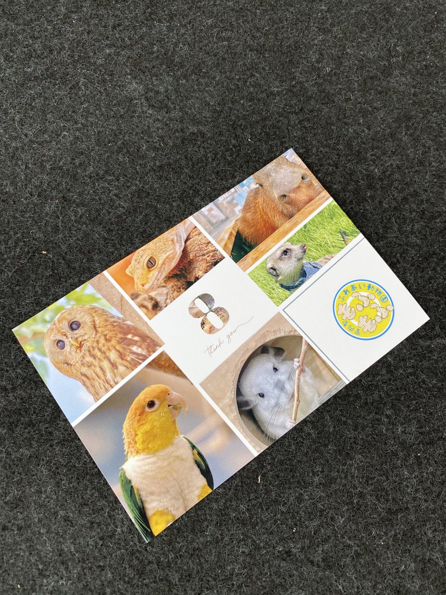 お別れの挨拶にきました。
パピコお疲れ様！
#もふもふふれあい動物園イオンつくば
#カピバラ
#パピコ