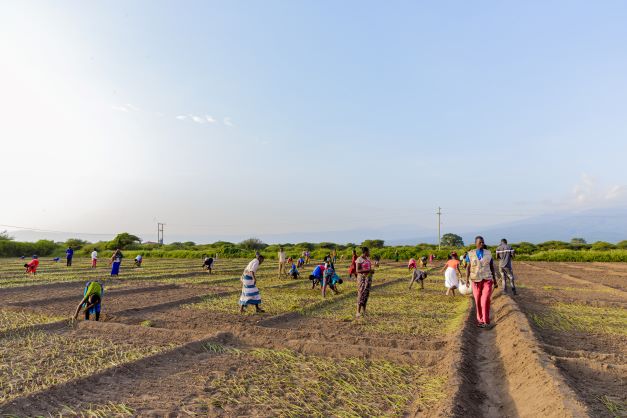 🚜 High transaction costs in Sub-Saharan Africa mean scarce seeds, tools, &amp; capital—and few buyers for farmers’ produce. But digital📱tech can cut these costs &amp; connect farmers to inputs, finance &amp; markets, breaking the cycle of isolation!🌾💡 wrld.bg/xwON50VJBhi
