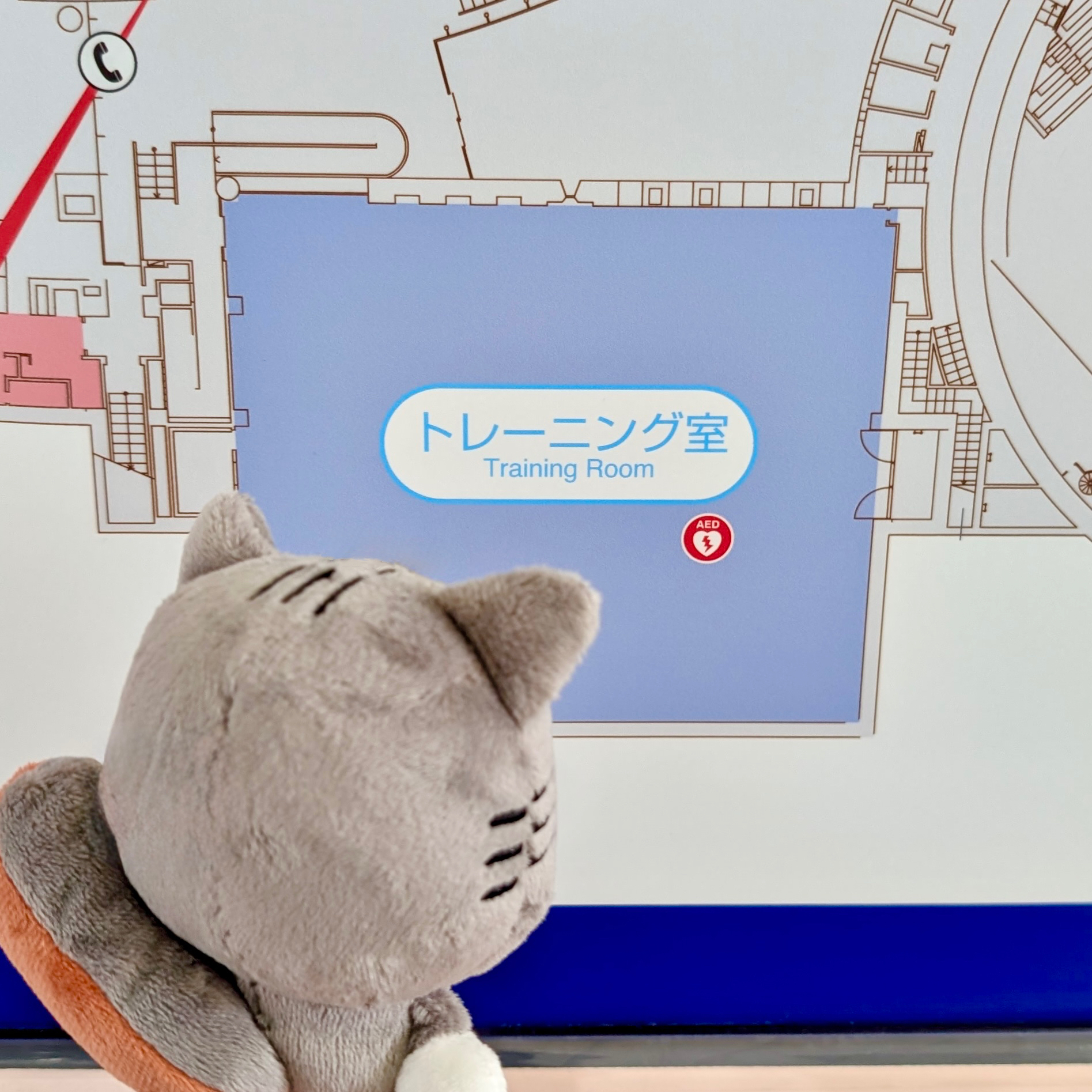 TXT ダゴニャン クッション TXT プルバトゥ フェイスクッション ダゴニャン テヒョン - メルカリ