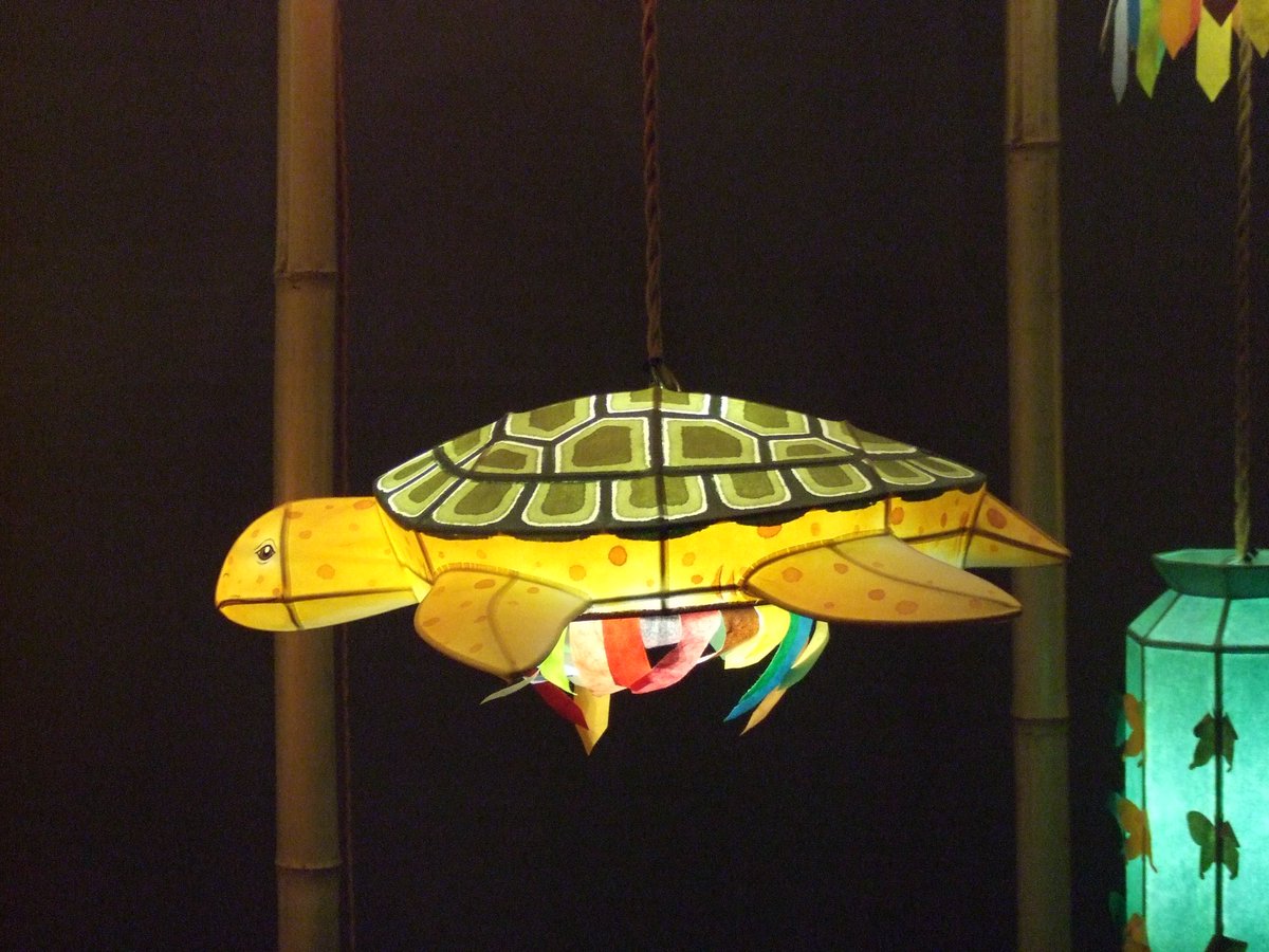 (^_^) (@kiyoikitty) on Twitter photo 