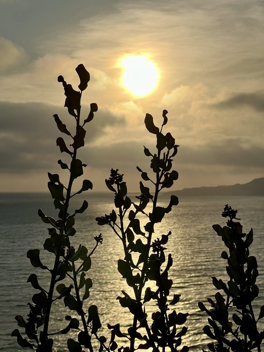 Have a beautiful day tomorrow.