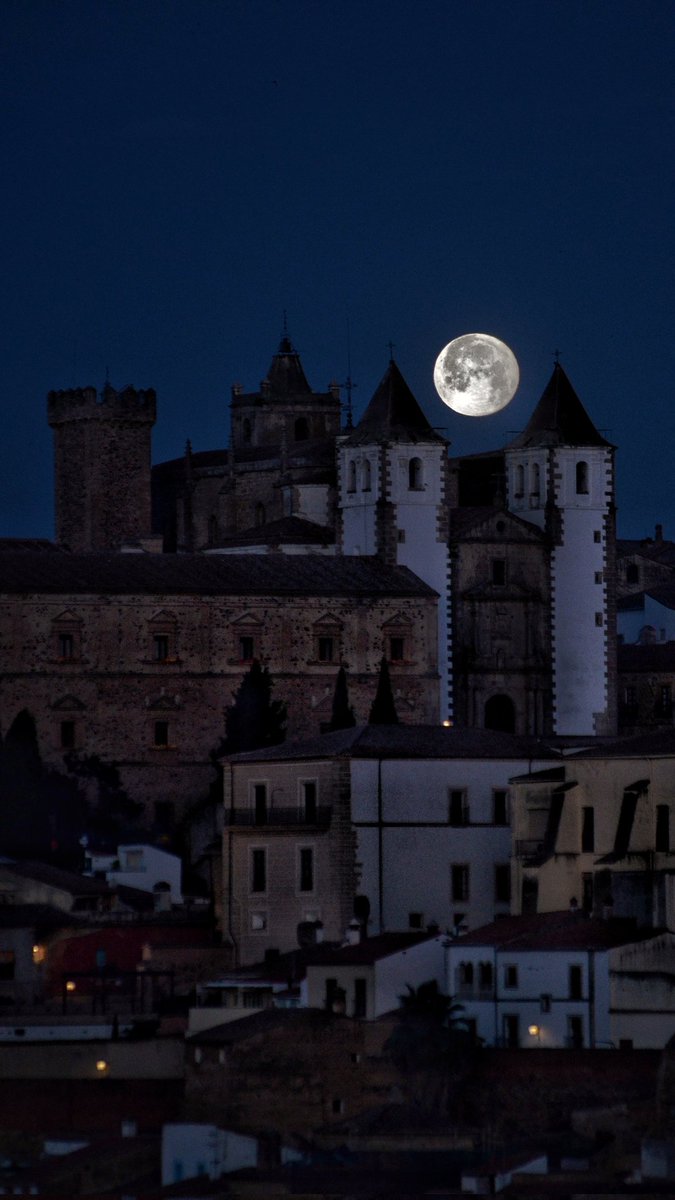 La vida nos descoloca
a cada uno en su sitio.

Cáceres 🤍✨