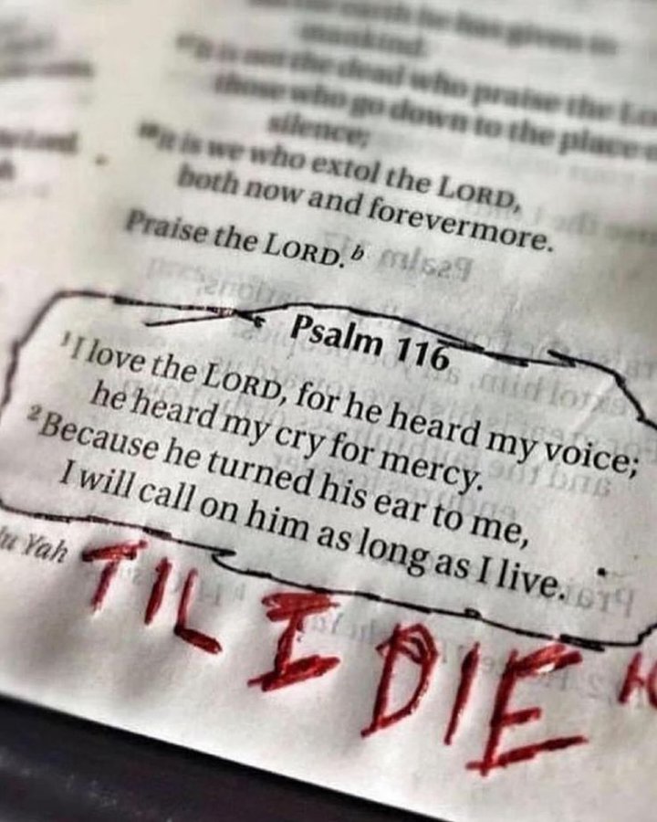 Bible 365 (@bible365_) on Twitter photo 