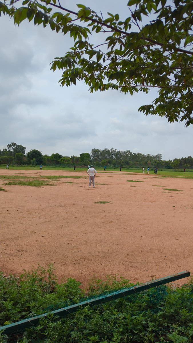 Three ducks on a trot just can't break the shackles 🥶!