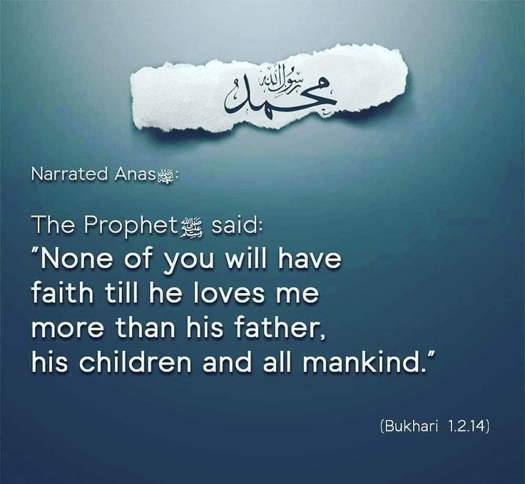 unknown4uall's tweet image. The best book 
Biography of the Nobel Prophet(saw)
The Sealed Nectar 👌 

archive.org/details/sealed…

#ProphetMuhammadSAW 
#ProphetMuhammad 
#ProphetMuhammad4All 
#MuslimUmmah 
#Muslim
#Islam 
#MasjidAlAqsa