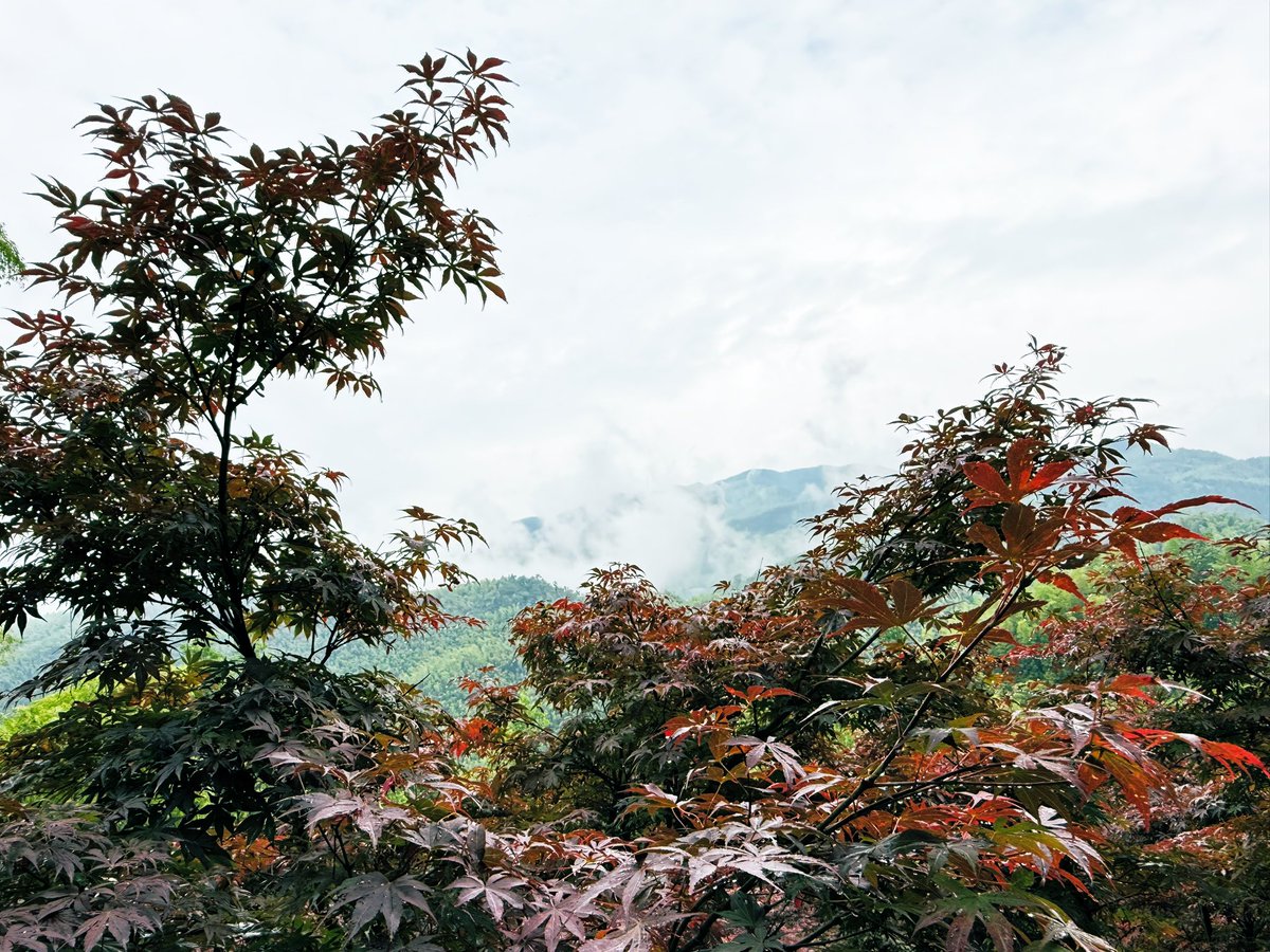 看山看景看自己