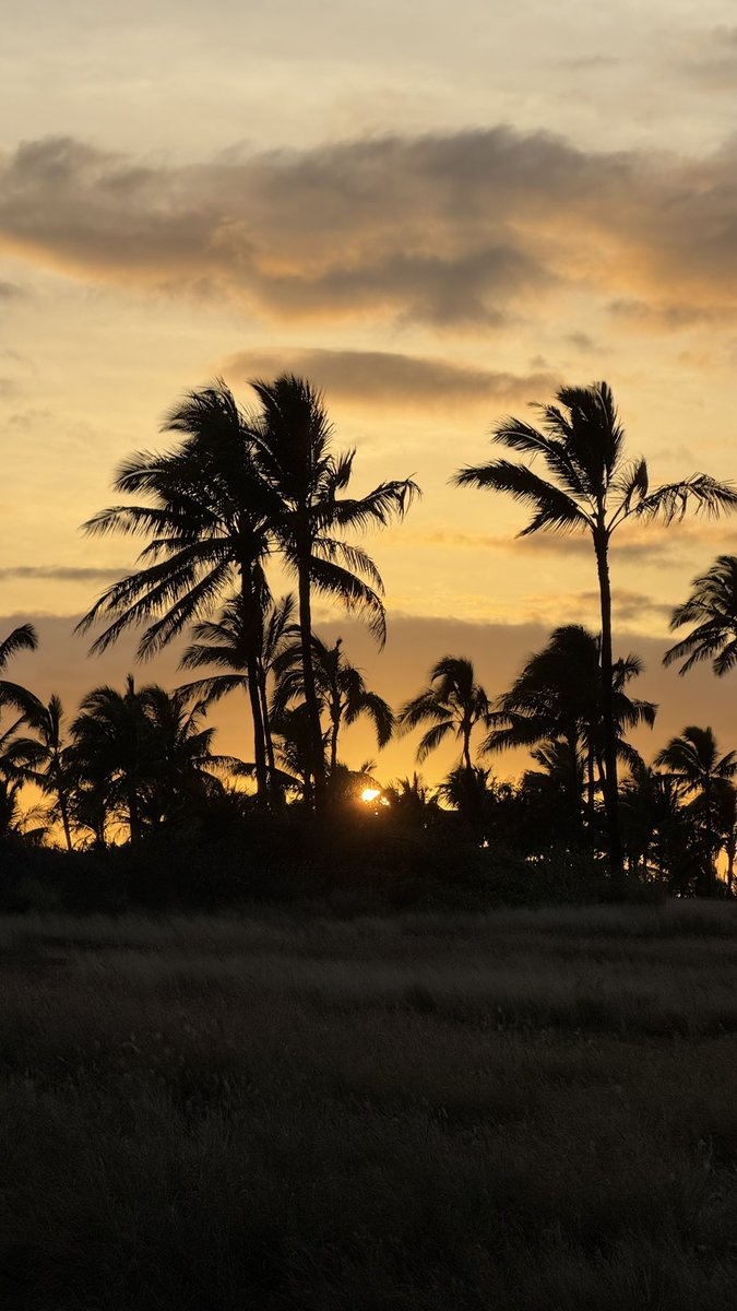 Small_o's tweet image. Hawaii