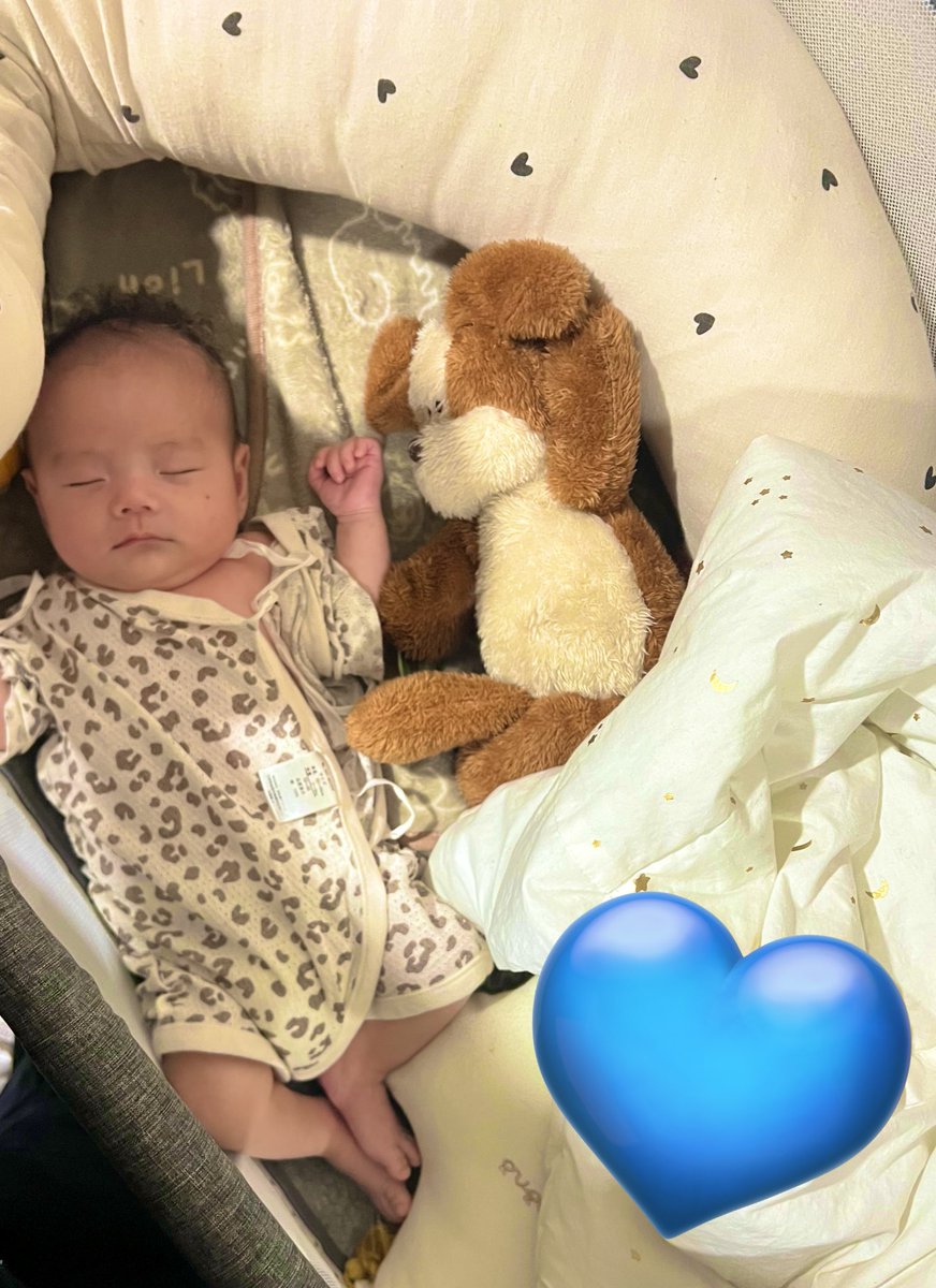 _ERICHAN7_'s tweet photo. 僕ちん｡急成長した気する 🥹❤️
毎日毎日かわいい💙
べそかいてる顔だいすき🤍すぎて
虐めたくなるの英里だけ？ https://t.co/JlQbdnlLER