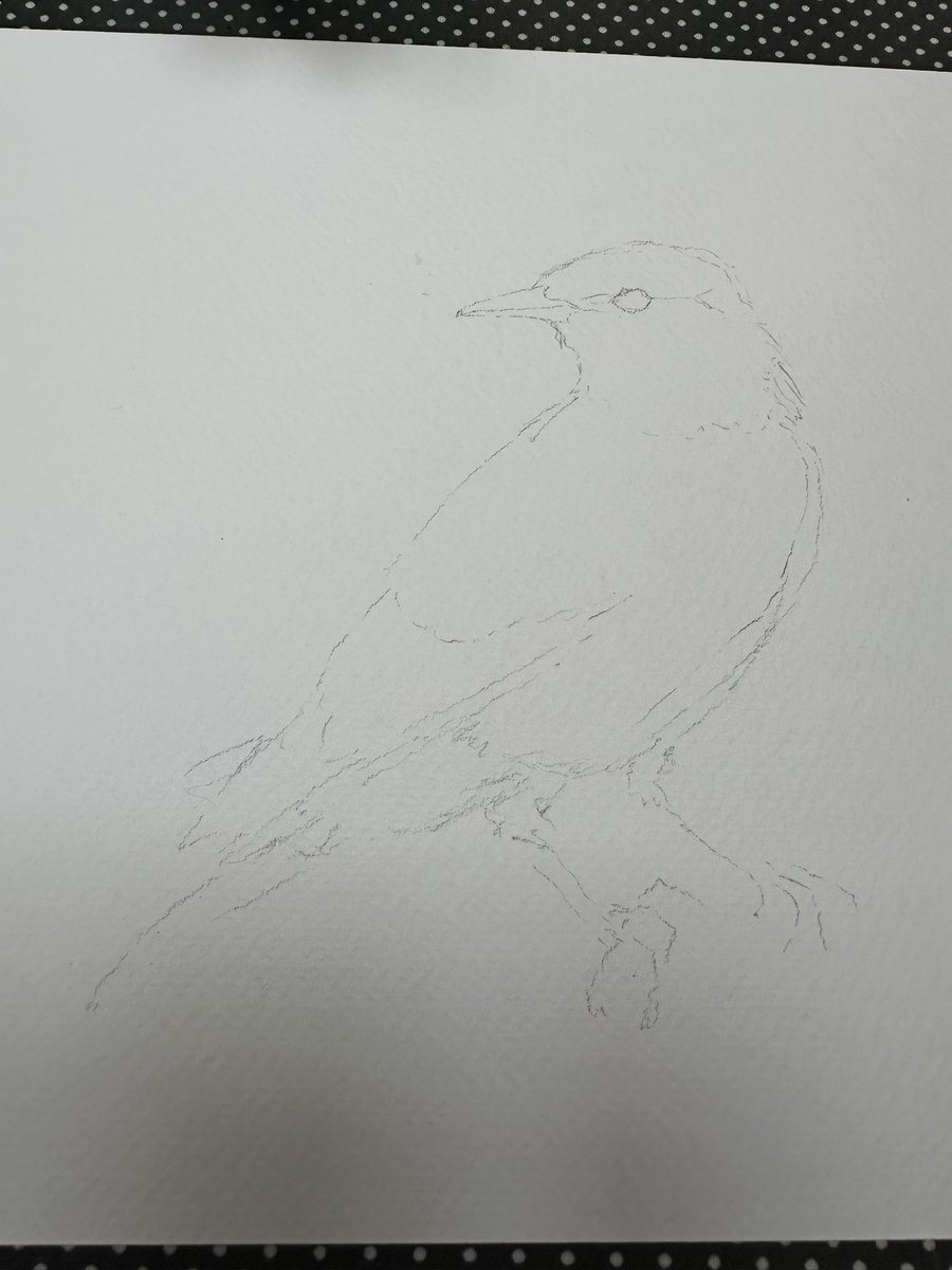 45 minutes of happy colour this morning.