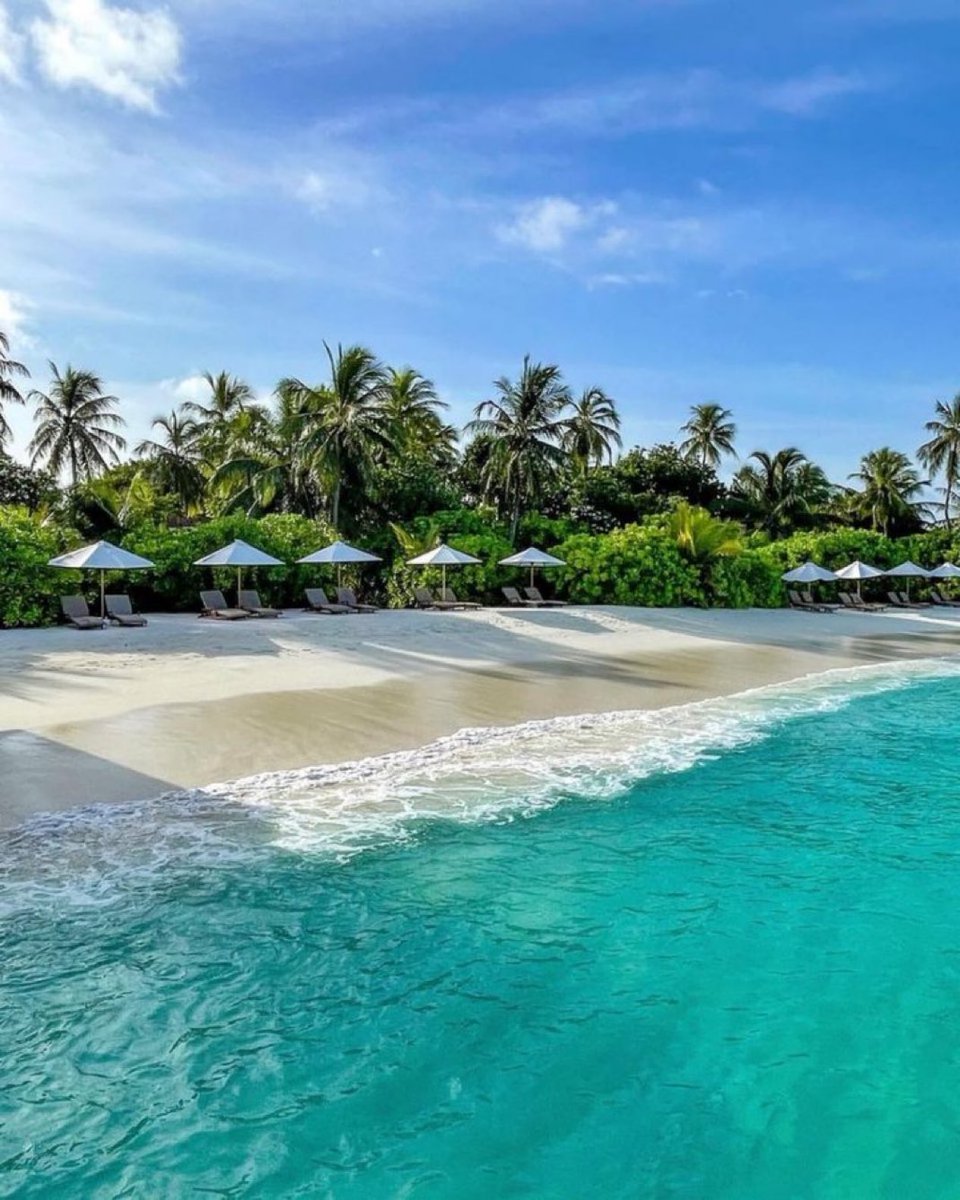 Lush_Serenity's tweet photo. Beach in Maldives https://t.co/9Lu7Uvpwac