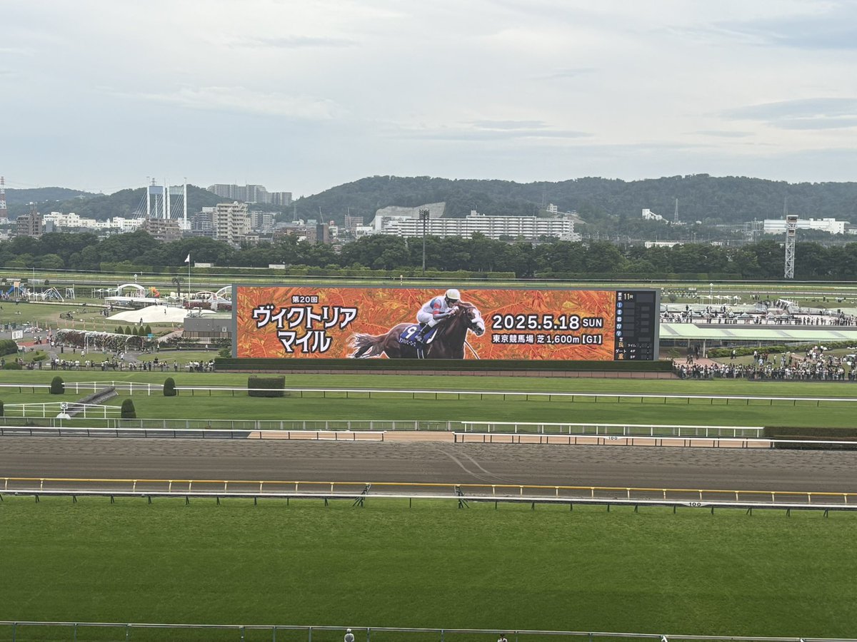 ゆいちゃ@→ holoX LIVE🍃 tweet media