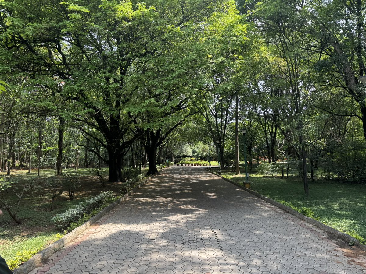 swaminathaniisc's tweet image. Beautiful IISc Campus with its gift from Nature integrates well and inspires creativity for scientific discovery! Another reason to consider joining our exciting journey at the Tata-IISc Medical School and Bagchi-Parthasarathy Hospital!