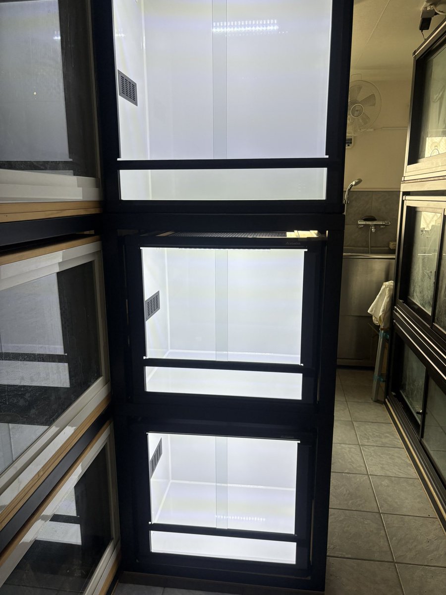 タホーンX tweet media