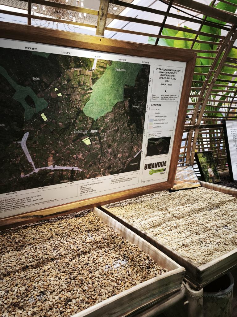 Aside from Kintamani, there is another region in Bali that grows coffee - Buleleng