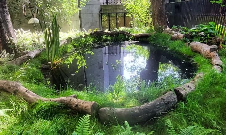 🌿 Learn to Build a Mini Pond! 🌿
📅 Date: Wed, 21st May 
🕠 Time: 5:30 - 7:00 PM 
📍 Meeting Point: Entrance to Trinity's Botanical Gardens, Palmerston Park, Dartry, Dublin 6, D06 W226

Join Collie Ennis, Trinity College Biodiversity Officer, for an exciting workshop on creating