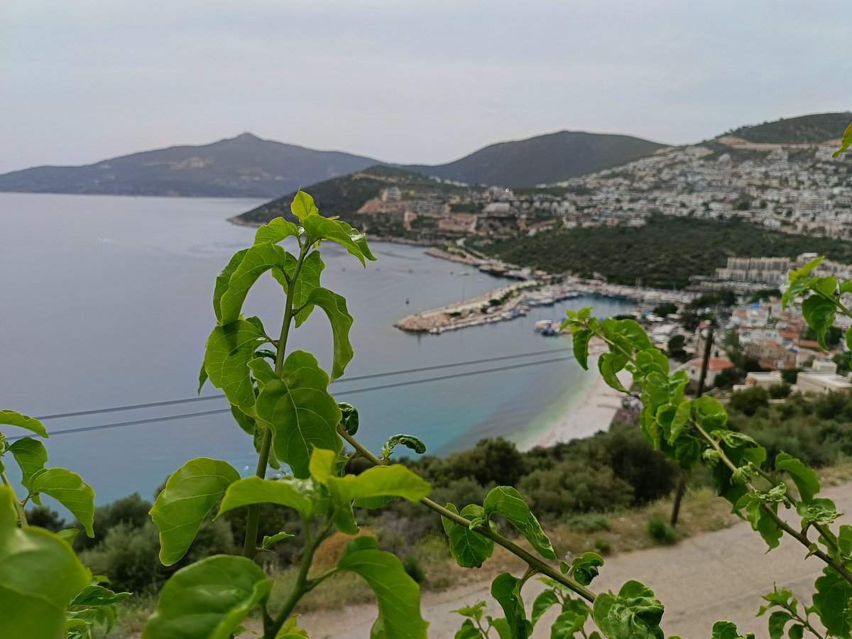 Kalkan her zaman ki gibi çok güzelsin. Bu yıl yerleştik ama artık buraya ait gibiyiz.