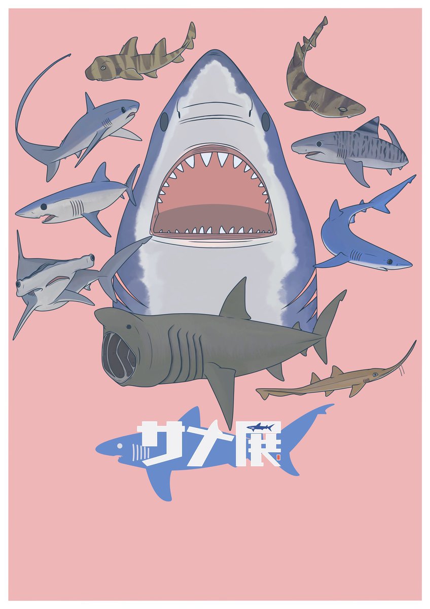 🦈めかぶ🦈 (@shark0037) / Posts / X