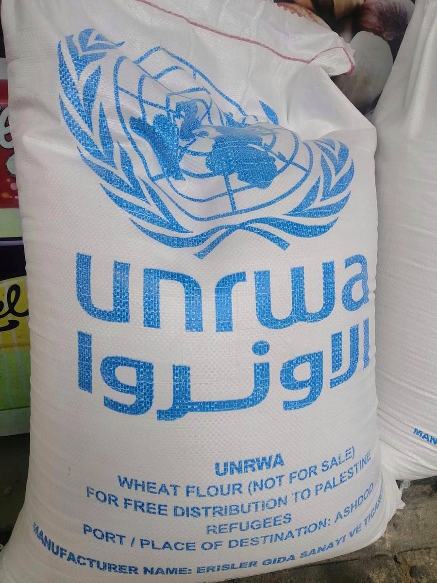 Nabhan0ab55's tweet image. Even moldy bread—we don't throw it away, we eat it...
This is our reality now.
Please, if anyone can help, I am in desperate need of food.
If my words reach your heart, don't leave me alone😭‼️‼️
The price of a bag of flour exceeded $800. 😔💔🙏
gofundme.com/f/aider-nabhan…