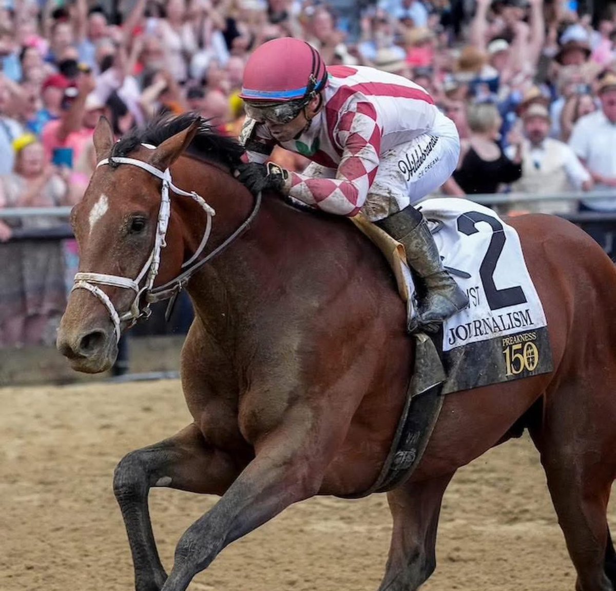 jimfromdaytona's tweet photo. What a race. What a horse. Congratulations! @mwmracing @EclipseTBP @PreaknessStakes @AronWellman7 https://t.co/nhQz4jqFWj