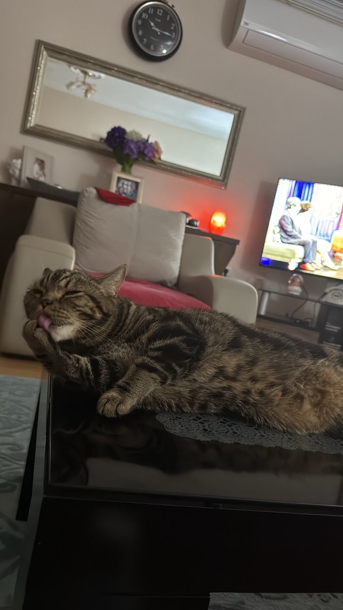 Bazı hazırlıklar yapıoruz bekle