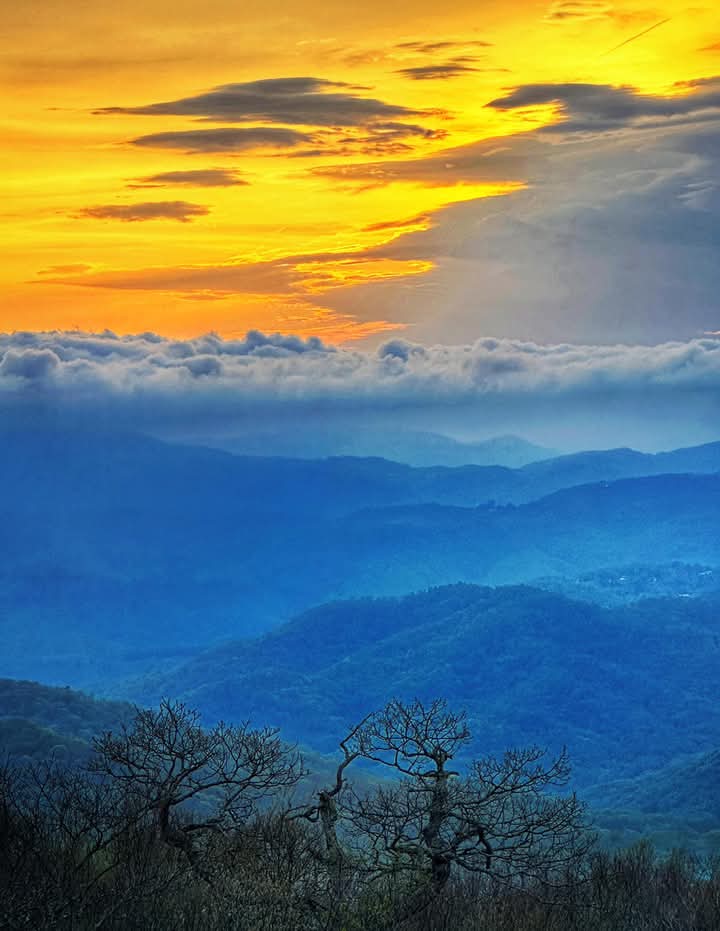 syra9282's tweet photo. Golden sky ignites,
Whispers float on blue mountain
Still trees dream in mist.
#haiku #lifeisbeautiful https://t.co/AqYgbjOih5