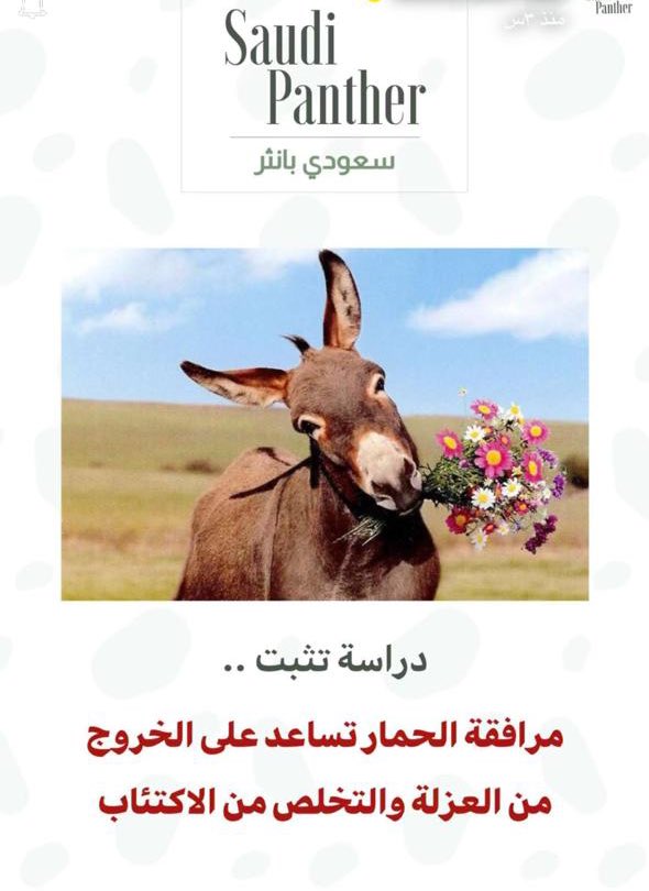 abdulrahman (@malbumut) on Twitter photo 