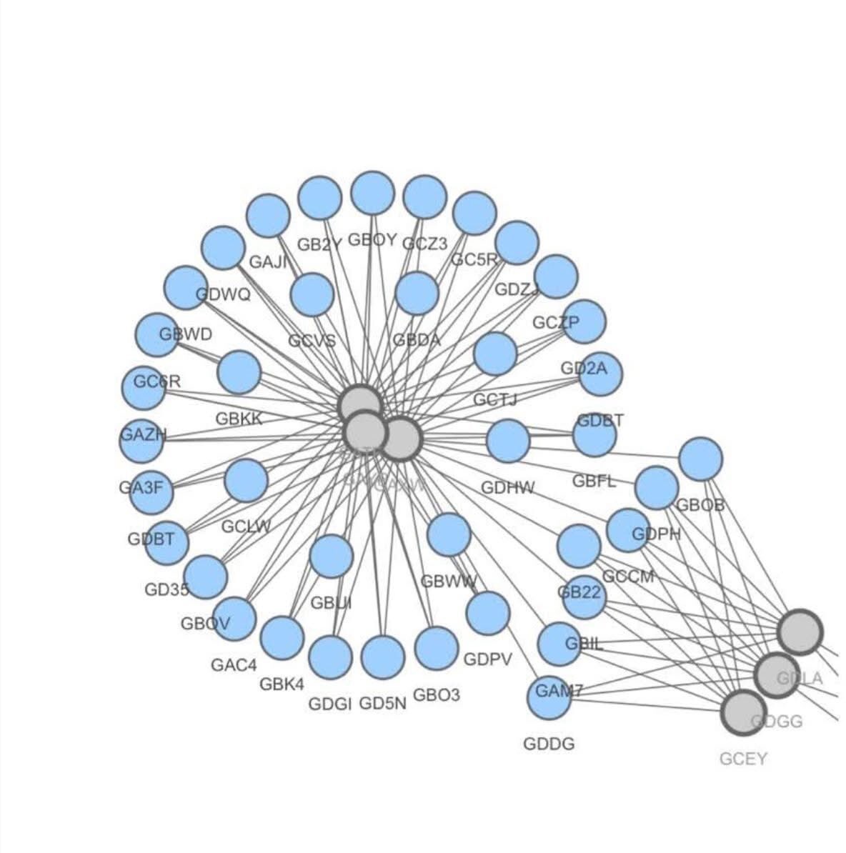 Pi Network (π) Türkiye Haber 🇹🇷 tweet media
