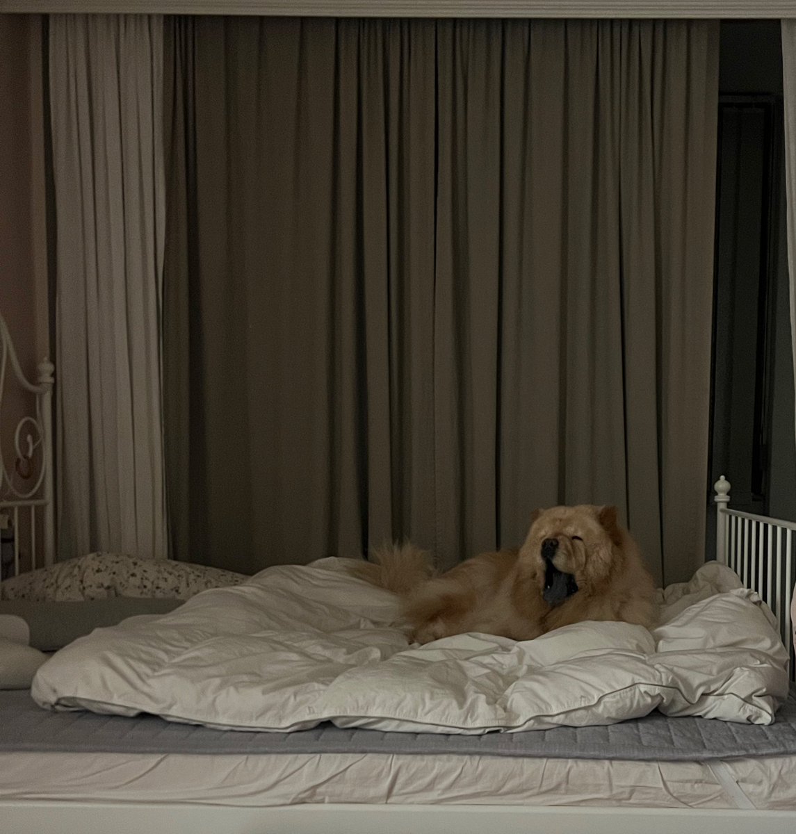 얘두라 잘 자고 내일 추그니도 화이팅이야